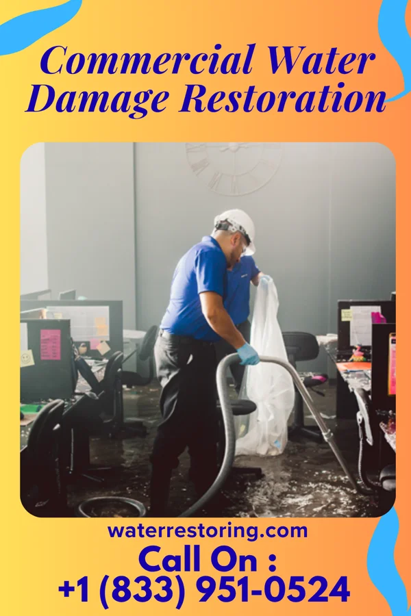 Commercial Water Damage Restoration in Avinger, TX